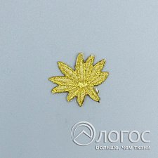 00306351