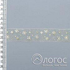 00905924