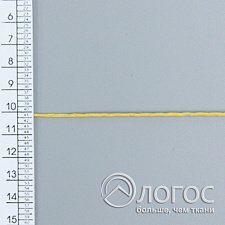 00305019