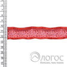 00905923