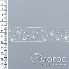 00905922